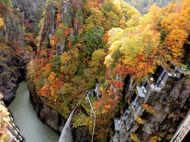 「川俣ダム」の画像検索結果